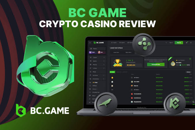 Exploring the Thrills of BC.Game Casino Platform -385456713