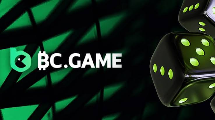 Understanding the BC.Game Login Process A Step-by-Step Guide -292530322