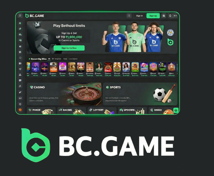 Understanding the BC.Game Login Process A Step-by-Step Guide -292530322